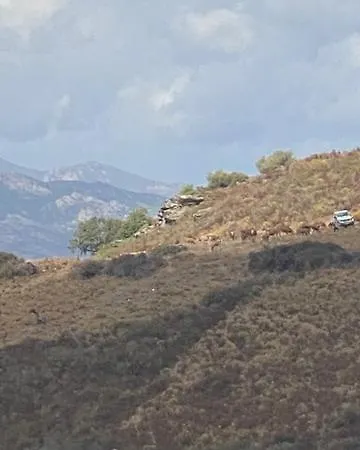 Ferienhaus Casa San Stefanu