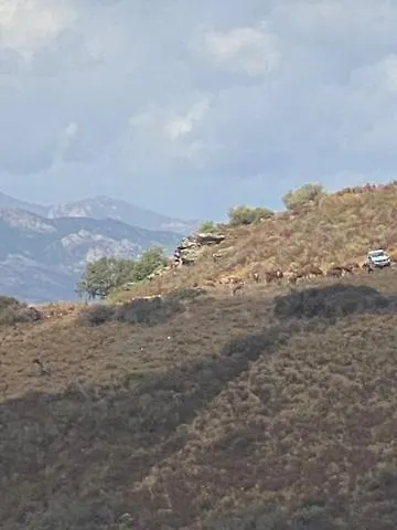 Holiday home Casa San Stefanu